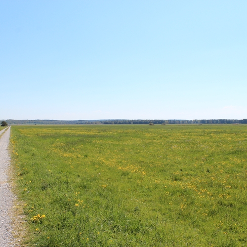 Ausflug im Mai 2016 (4)